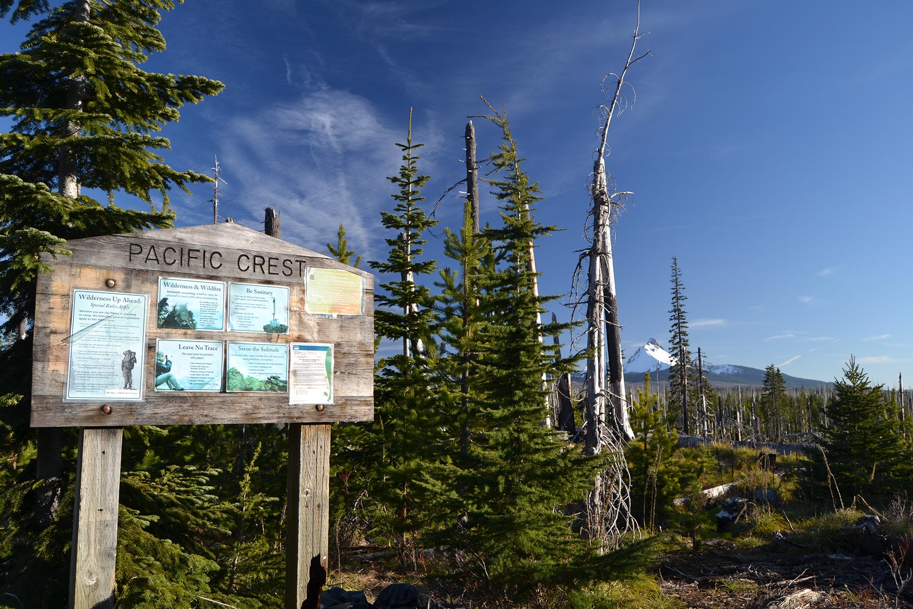 Trailhead at Santiam Pass - A Twisting Journey-Oregon Backroads Guide to the PCT